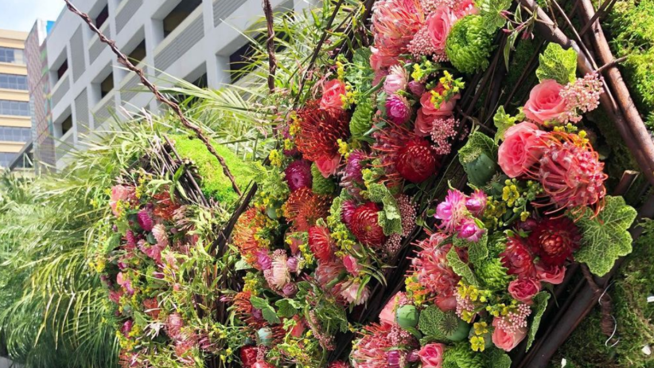 San Francisco Reopens in Full Bloom